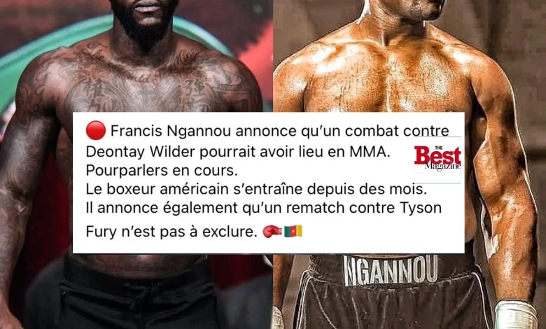 Nouveau combat pour Francis Ngannou?